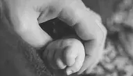 hand-2597819_1280.webp