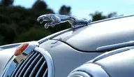 jaguar ok.webp