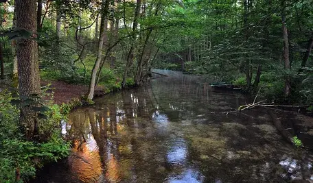 river-2637194_1280.webp