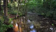 river-2637194_1280.webp