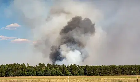 fire-3544205_1280.webp