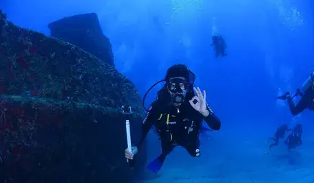 dive-1849531_1280 ok.webp