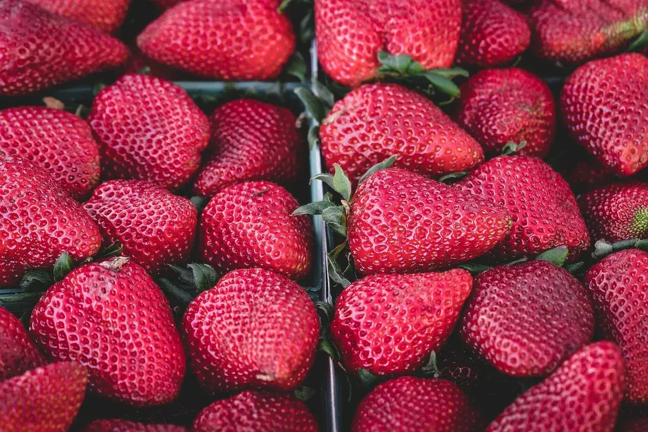 strawberries-1326148_1280