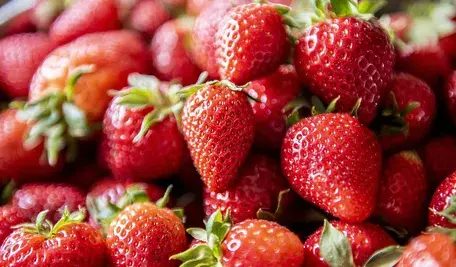 strawberry-5079237_1280.webp