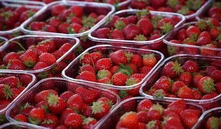 strawberries-8177601_1280.webp
