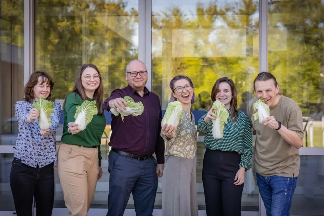 Naukowcy z Gdańska odkryli nowe zastosowanie kapusty pekińskiej. Nie chodzi tylko o jedzenie