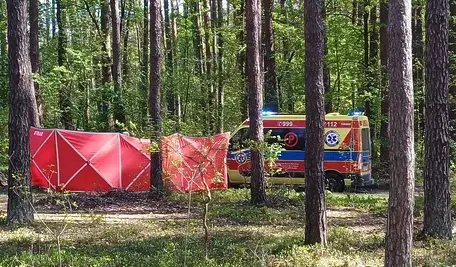 policja biłgoraj ok.webp
