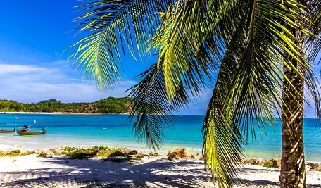 vacations-631203_1280.webp
