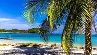 vacations-631203_1280.webp