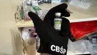 gang cbsp ok.webp