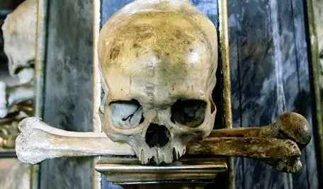 human-skull-2646912_1280.webp