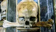 human-skull-2646912_1280.webp