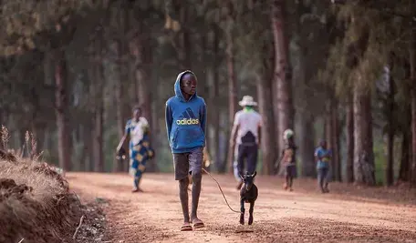 african-8329335_1280.webp
