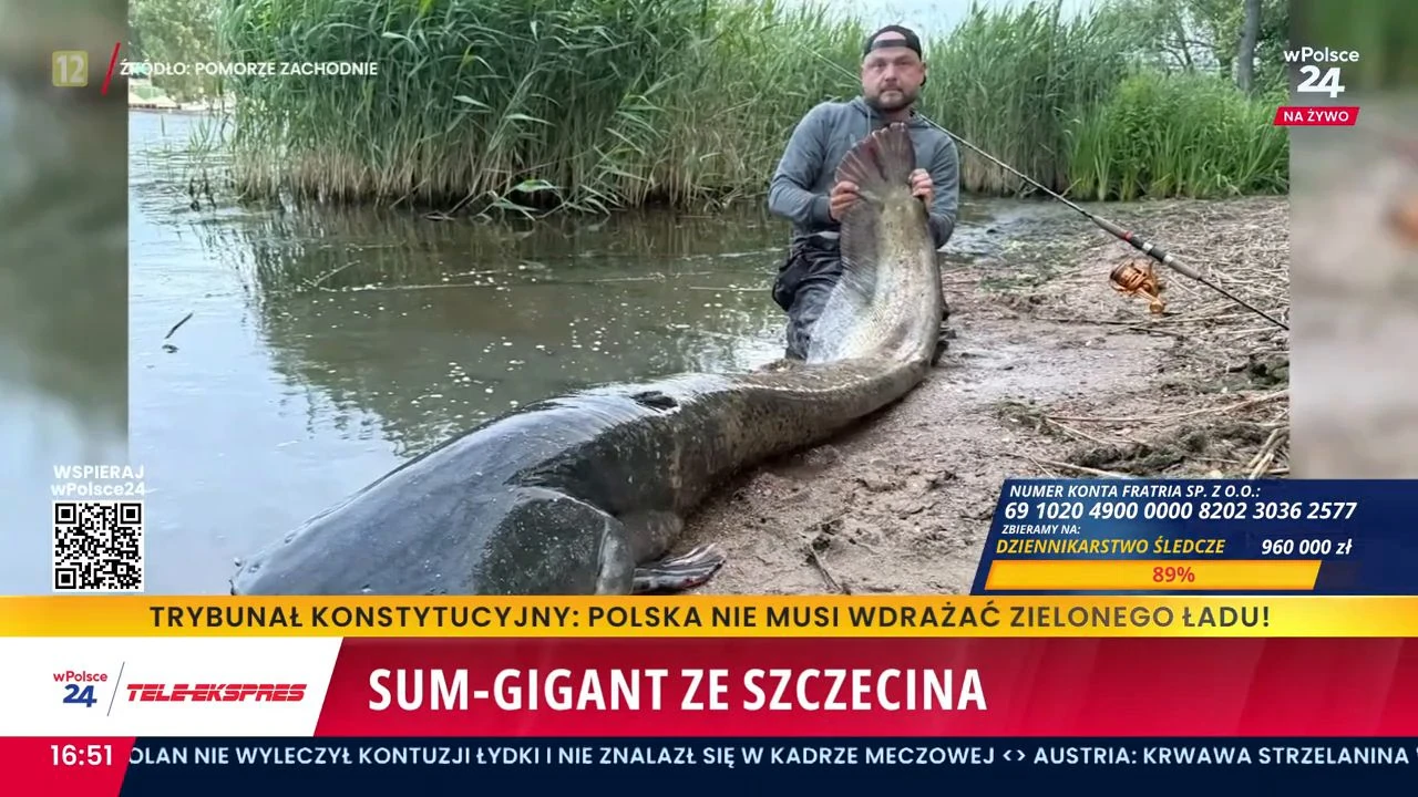 Prawdziwy potwór w Odrze. Wędkarz przecierał oczy ze zdumienia