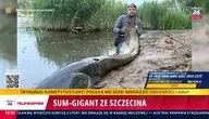 1961340_6.webp