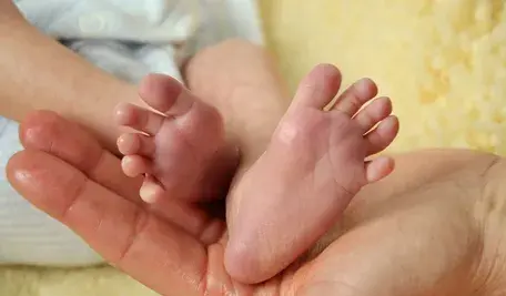 infant-501336_1280.webp