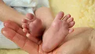 infant-501336_1280.webp