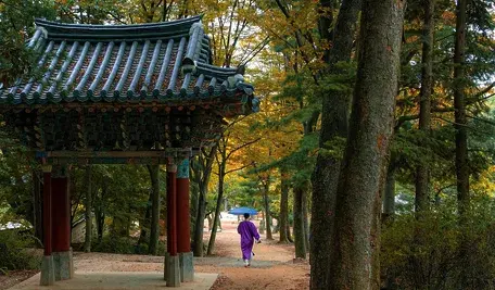 korean-folk-village-5286449_1280.webp