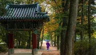 korean-folk-village-5286449_1280.webp