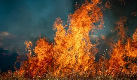 fire-6706673_1280.webp