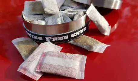 sting-free-snuff-3799123_1280.webp