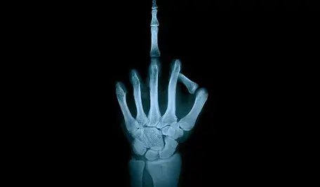 hand-2194167_1280.webp