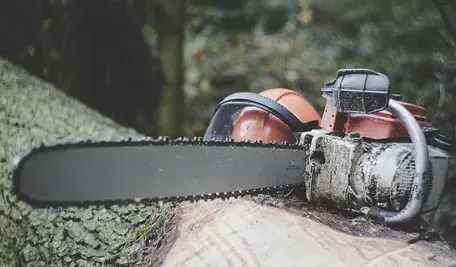 chainsaw-3655667_1280.webp