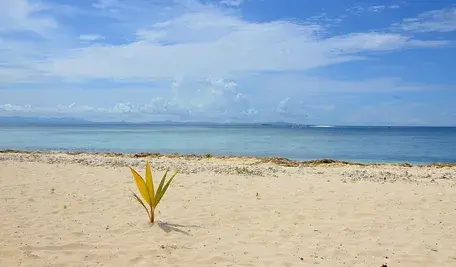 fiji-2540446_1280.webp