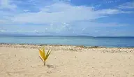 fiji-2540446_1280.webp