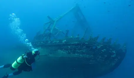 dive-225580_1280.webp