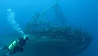 dive-225580_1280.webp