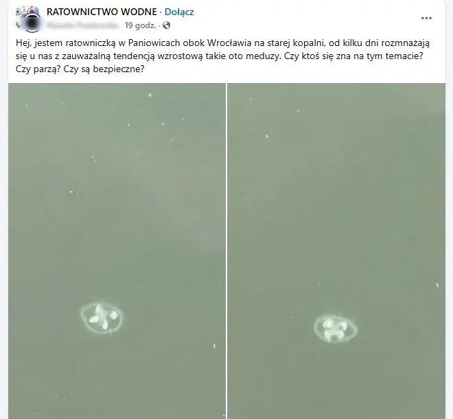 Meduza
