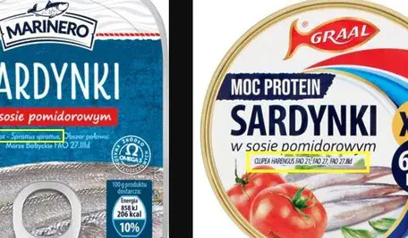 sardznki.webp