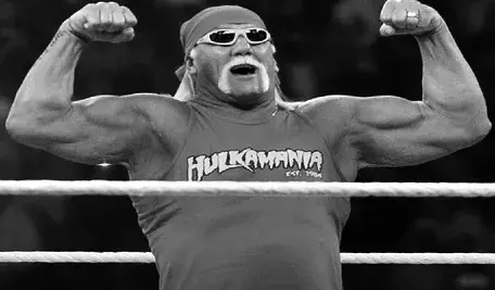 Hulk Hogan.webp