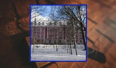 pałac ok.webp