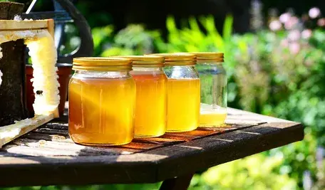 honey-352205_1280.webp
