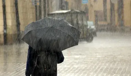 rain-3518956_1280.webp