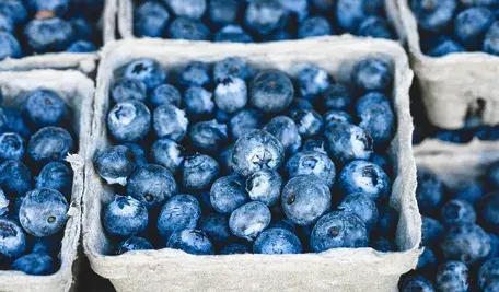 blueberries-1326154_1280.webp