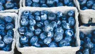 blueberries-1326154_1280.webp