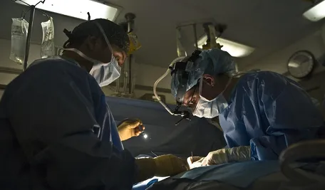 doctor-79579_1280.webp