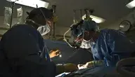 doctor-79579_1280.webp