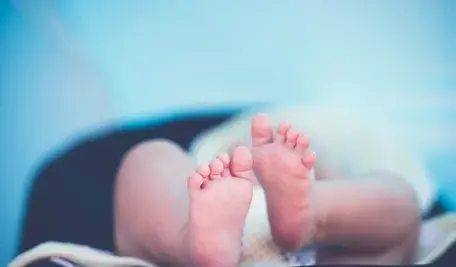 hand-heel-photography-feet-leg-finger-79131-pxhere.com.webp