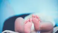 hand-heel-photography-feet-leg-finger-79131-pxhere.com.webp