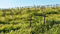 cemetery-841542_1280.webp