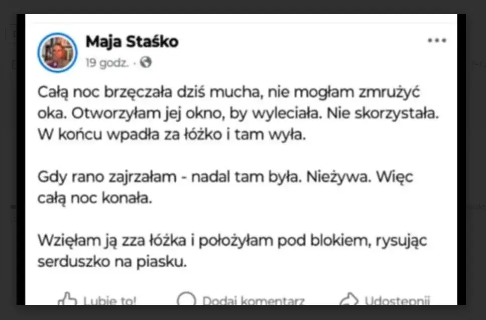Zrzut ekranu (38) 2025-08-22_17.01.20