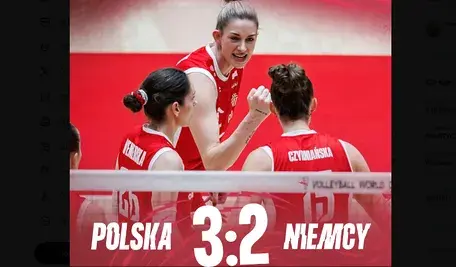 siatkowka2.webp