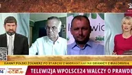 ogorek 2