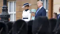 trump.webp