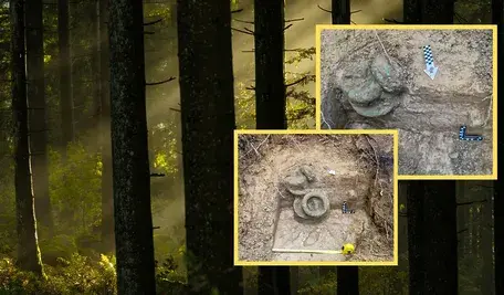 Projekt bez nazwy (56).webp
