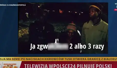 imigranci ogórek.webp